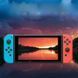 Закаленное защитное стекло Screen Pro для игровой консоли Nintendo Switch (2 шт.) 421972809 0936 фото 8